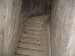 DSC01812.JPG