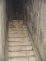 DSC01811.JPG