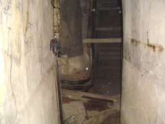 DSC01798.JPG