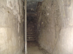 DSC01799.JPG