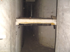 DSC01803.JPG