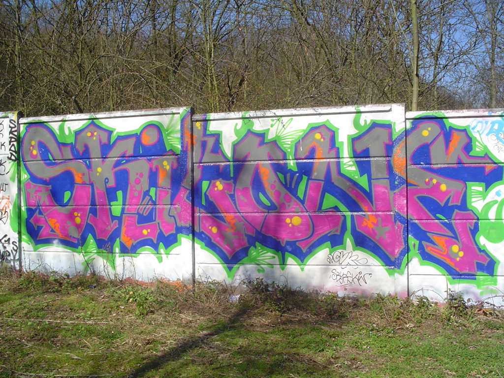 DSC04065.JPG