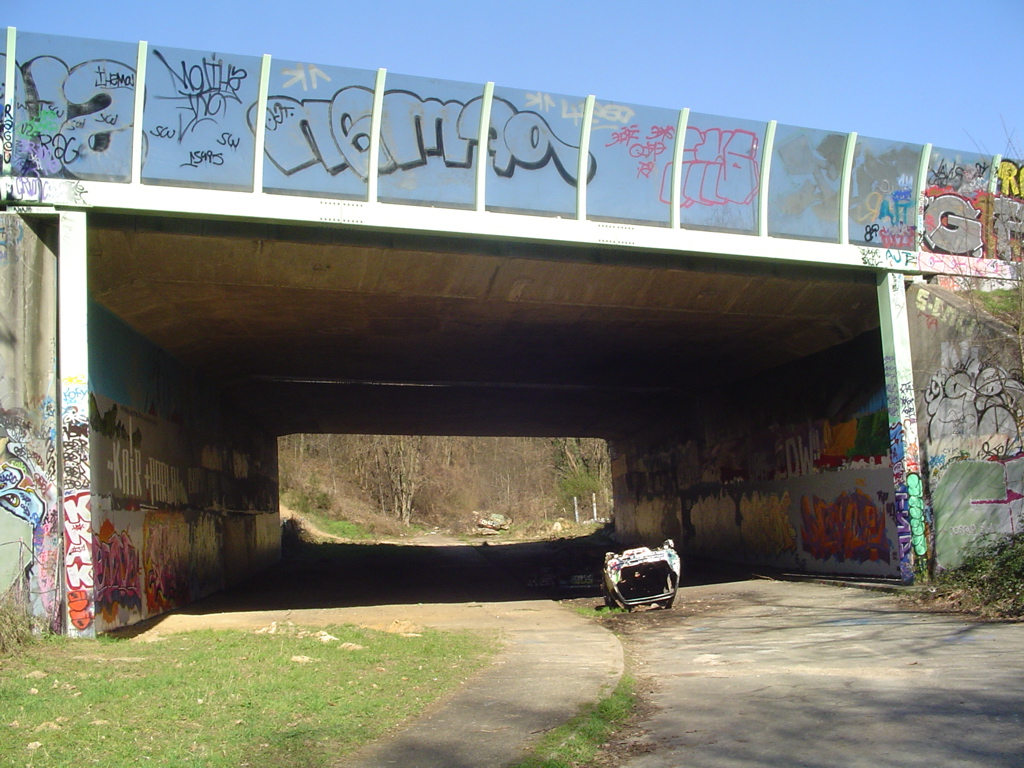 DSC04082.JPG