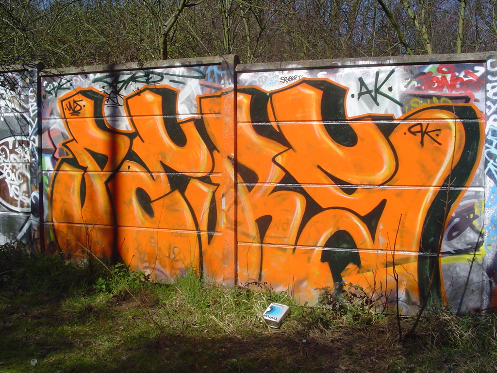 DSC04060.JPG