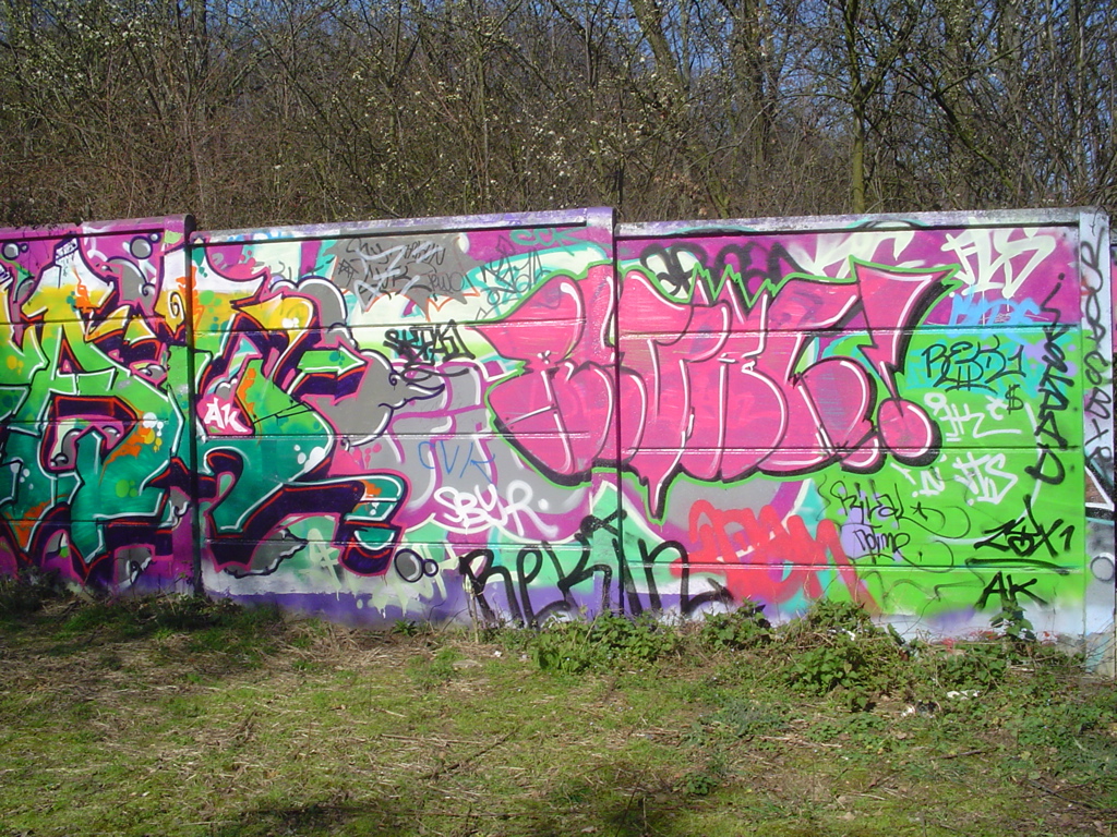 DSC04061.JPG