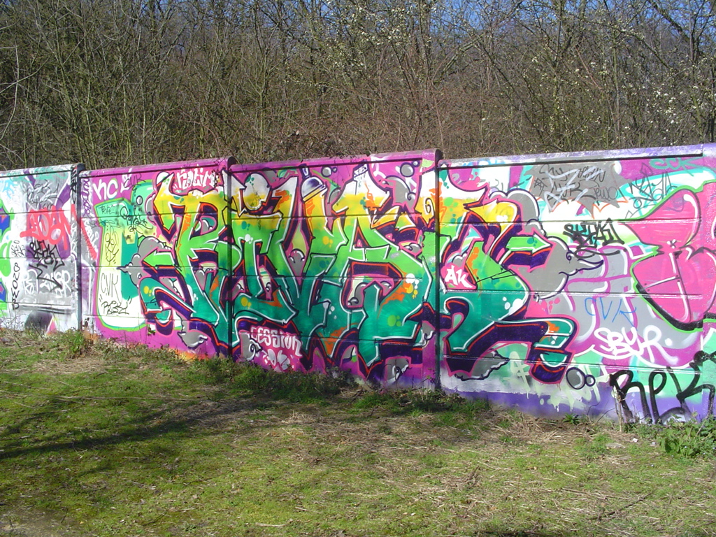 DSC04062.JPG