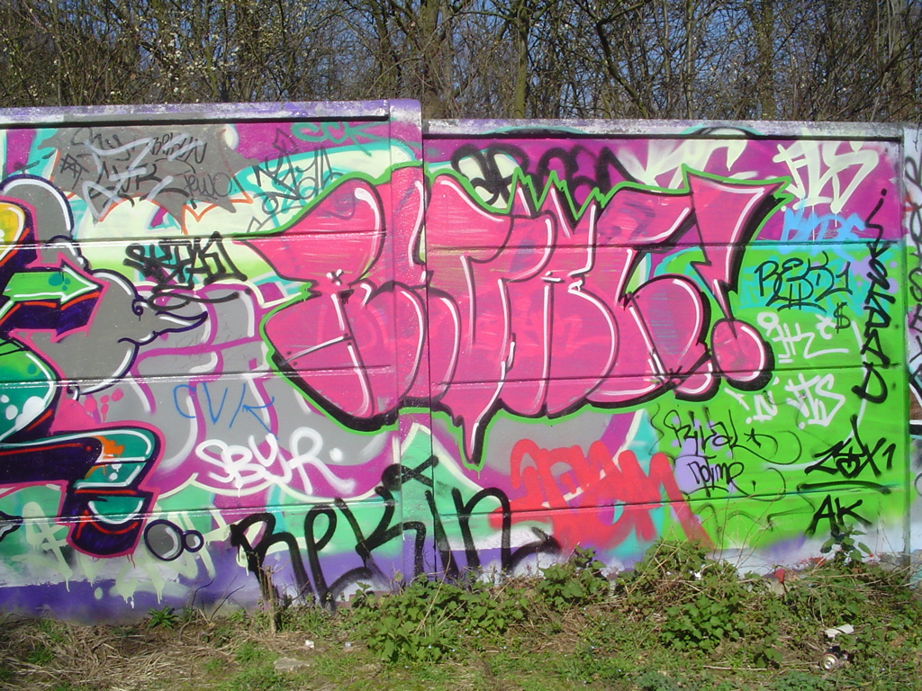 DSC04063.JPG