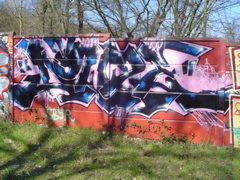 DSC04056.JPG