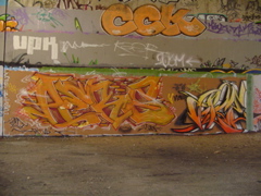 DSC04078.JPG