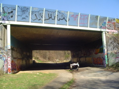 DSC04082.JPG