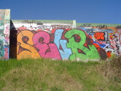 DSC04084.JPG