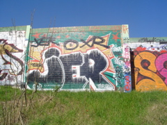 DSC04085.JPG