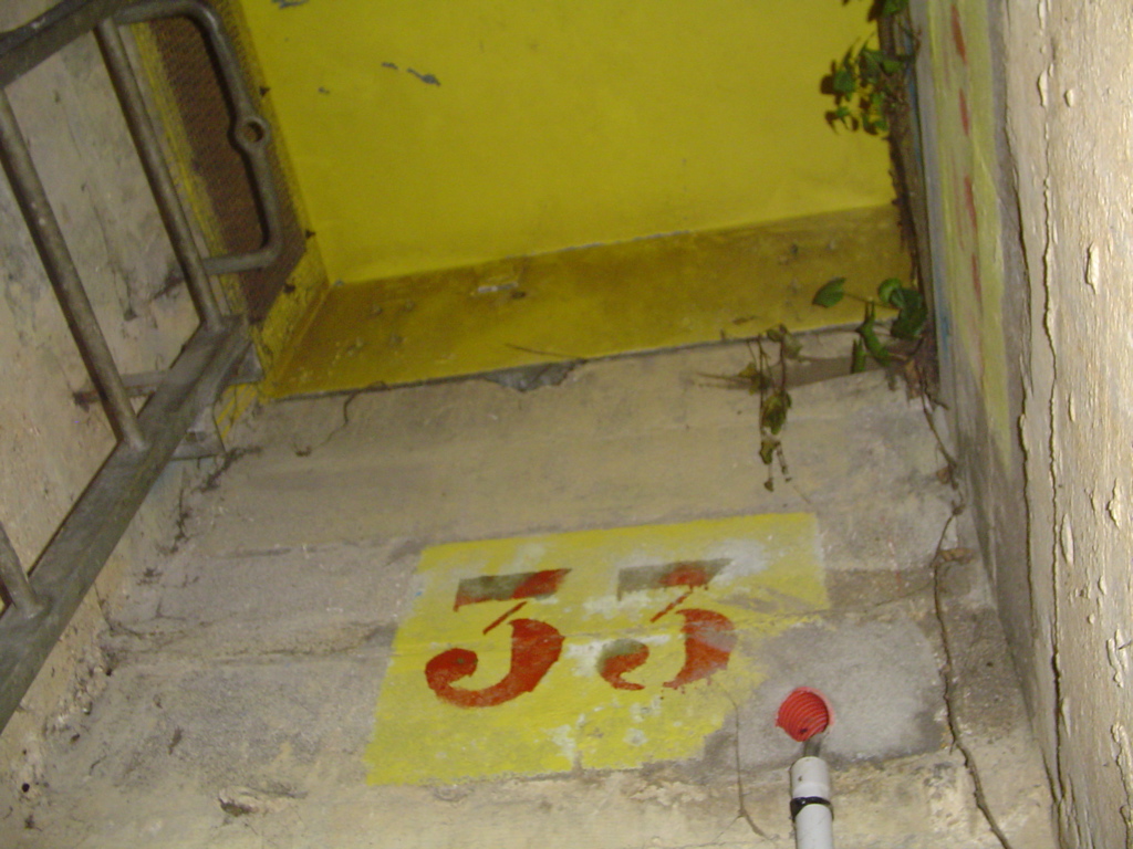 DSC01457.JPG