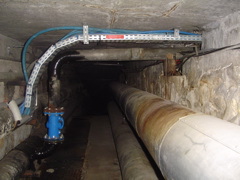 DSC01428.JPG