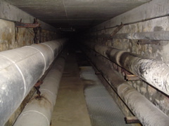 DSC01430.JPG