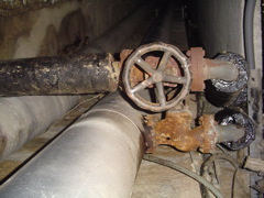DSC01443.JPG