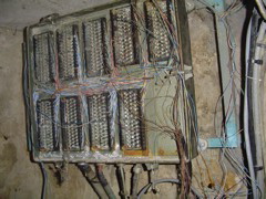 DSC01444.JPG