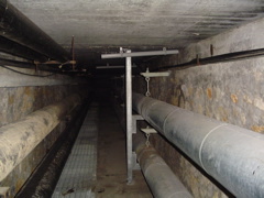 DSC01447.JPG