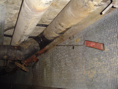 DSC01455.JPG