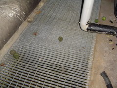 DSC01459.JPG