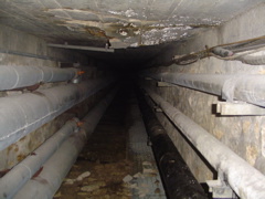 DSC01464.JPG