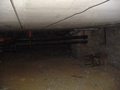 DSC01467.JPG