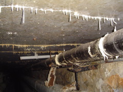 DSC01438.JPG