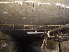 DSC01439.JPG