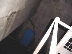 DSC01739.JPG copy