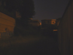 DSC01764.JPG copy
