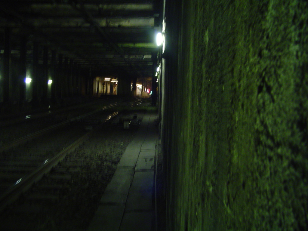 DSC03584.JPG