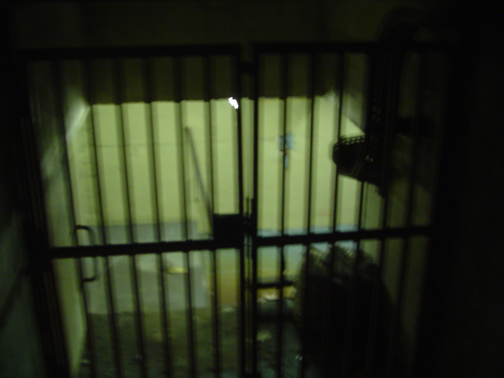 DSC03570.JPG