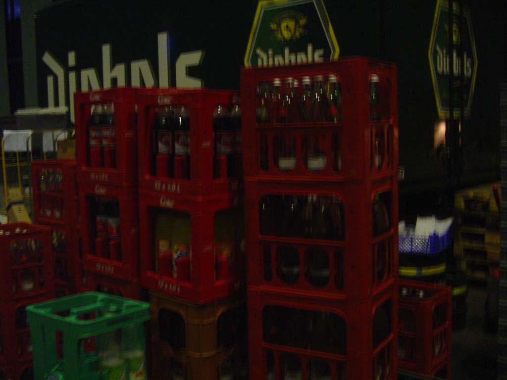 DSC04504.JPG