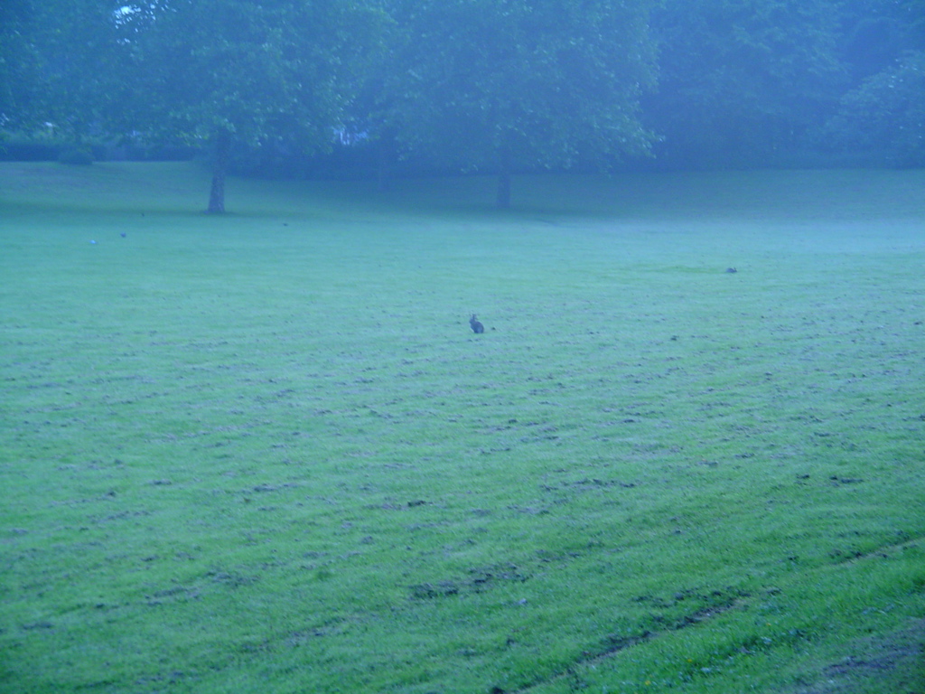 DSC04509.JPG