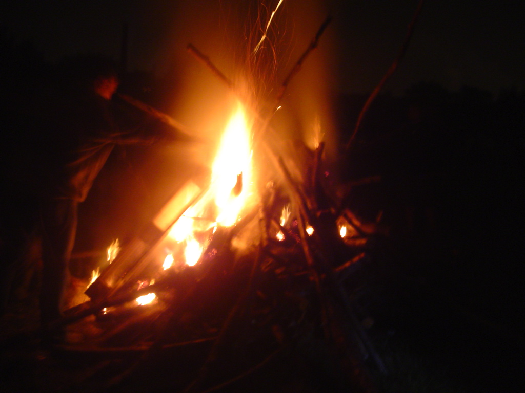 DSC04535.JPG