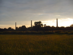 DSC04522.JPG