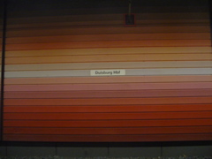 DSC04462.JPG
